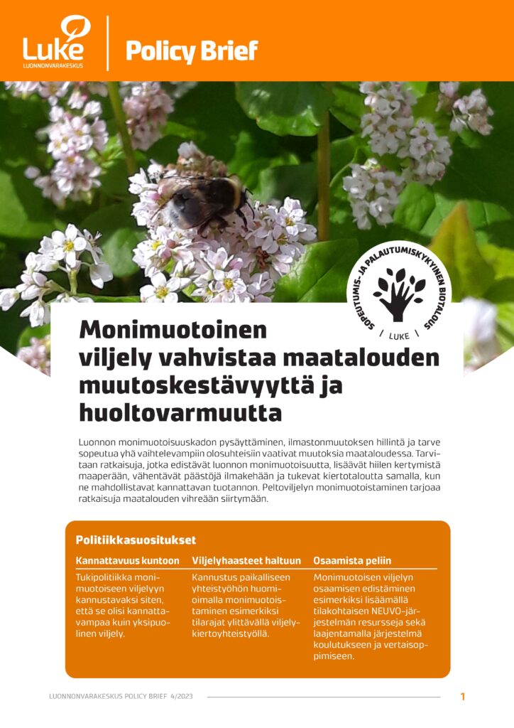 Politiikkasuosituksen kansi. Otsikko, tekstiä ja kuvana kukkiva tattari, jossa kimalainen.