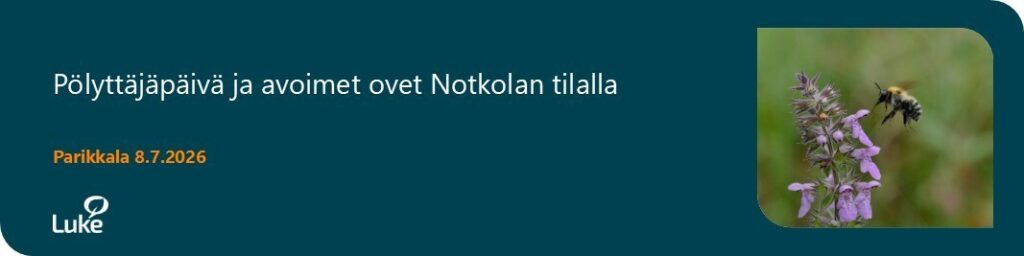 kaakonkimalainen kukalla. Kuva Juho Paukkunen / Luomus.