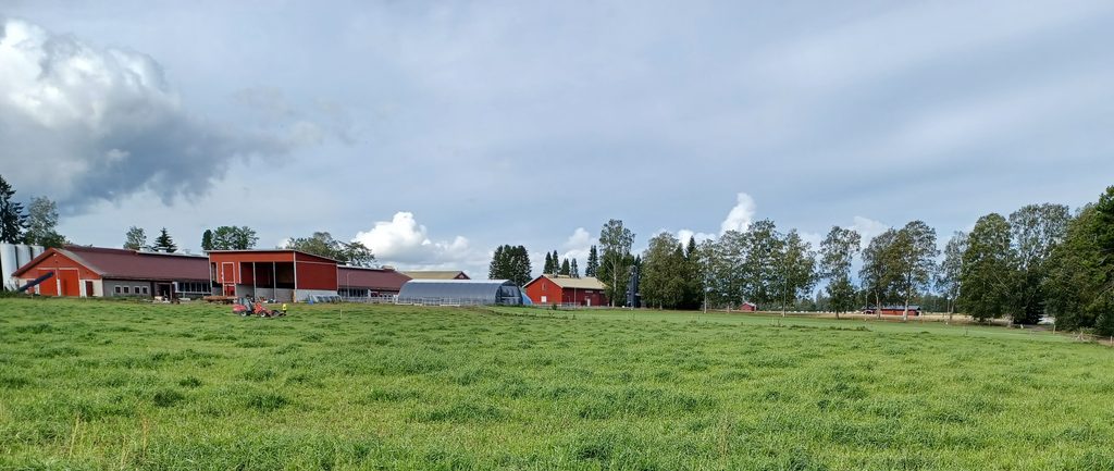 Maatilan navetta ja varastorakennuksia, edessä laidunta, taustalla puita ja pilvistä taivasta.